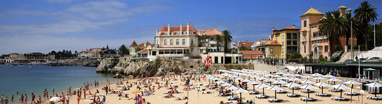 O que fazer Header 01