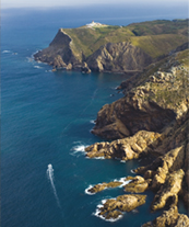 O que fazer Header 03